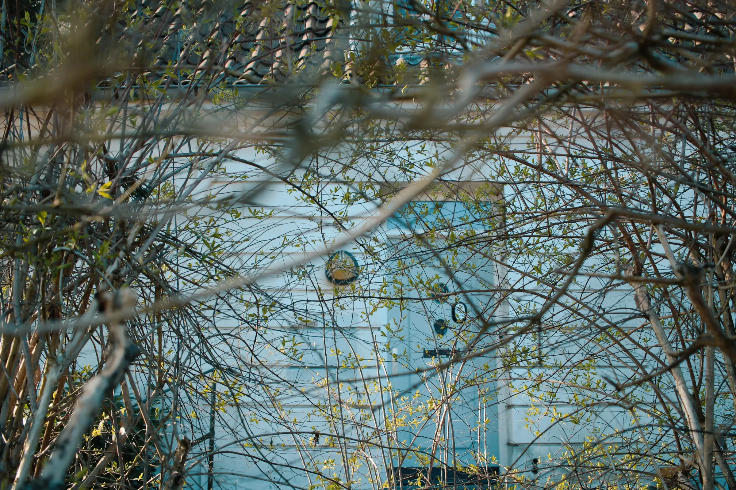 デンマークの街並み